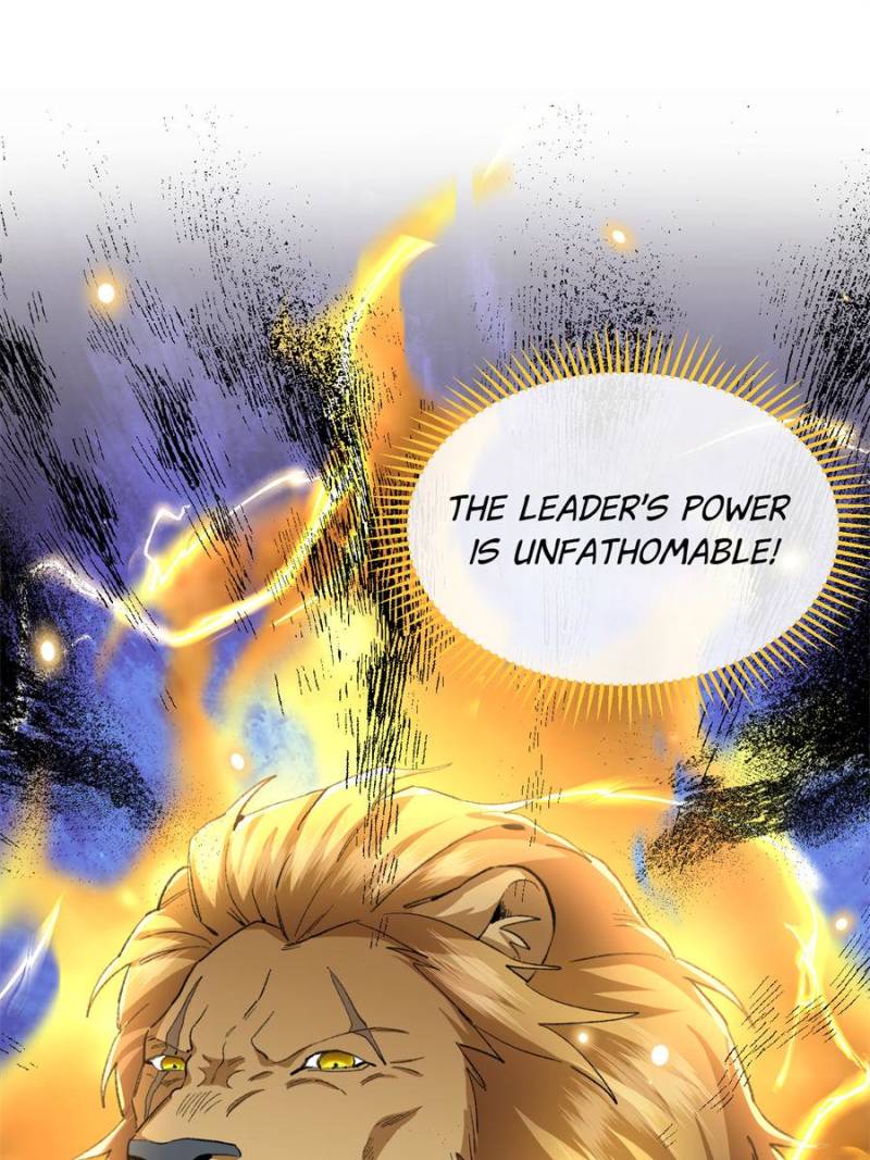 81494789 800 1067 141195